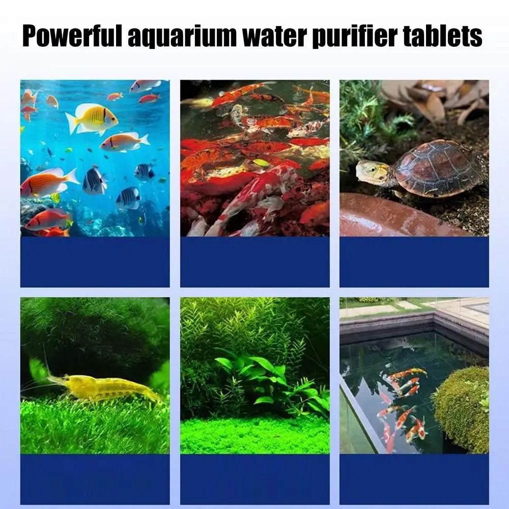 Water Purification Tablet - Leistungsstarke Wasserreinigungstabletten Geruchsentferner Reinigungstabletten Gegen Algen