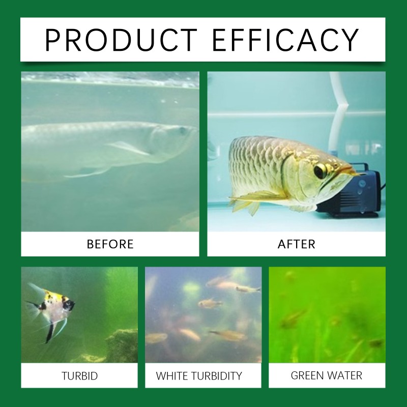 Aquarium-Wasserreinigungstable – Water Purification Tablet Bewertung und Preis